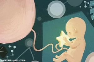 关于供卵供精公司